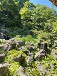 【群馬】映えスポット多数！群馬を代表する花寺