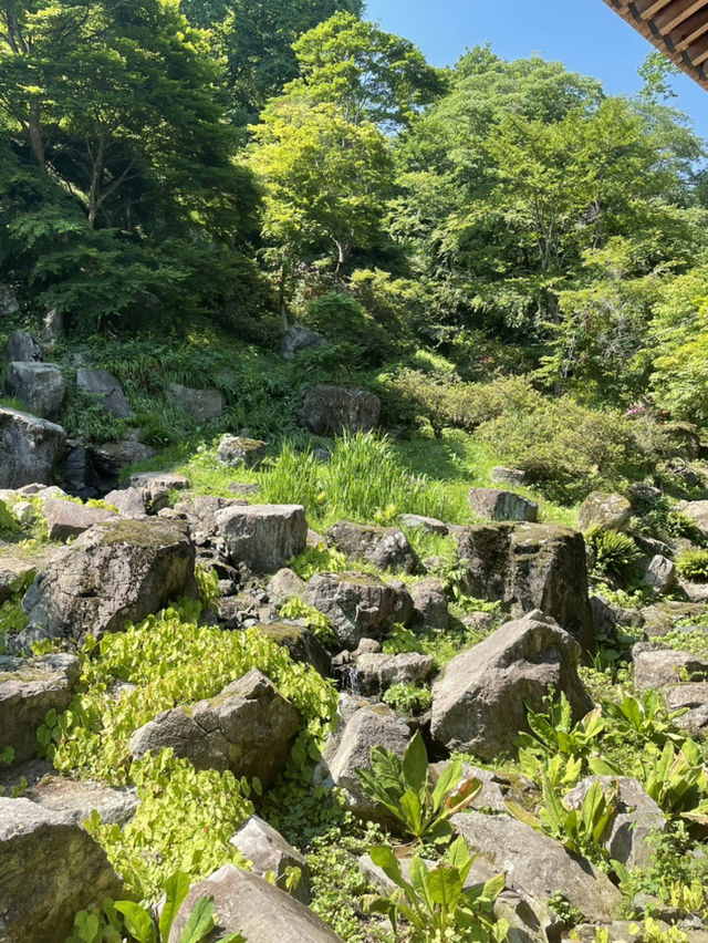 【群馬】映えスポット多数！群馬を代表する花寺