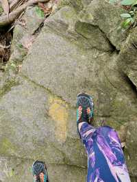 Hiking in Bạch Mã — Waterfalls, Jungle & Quiet Moments ⛰️🌧️