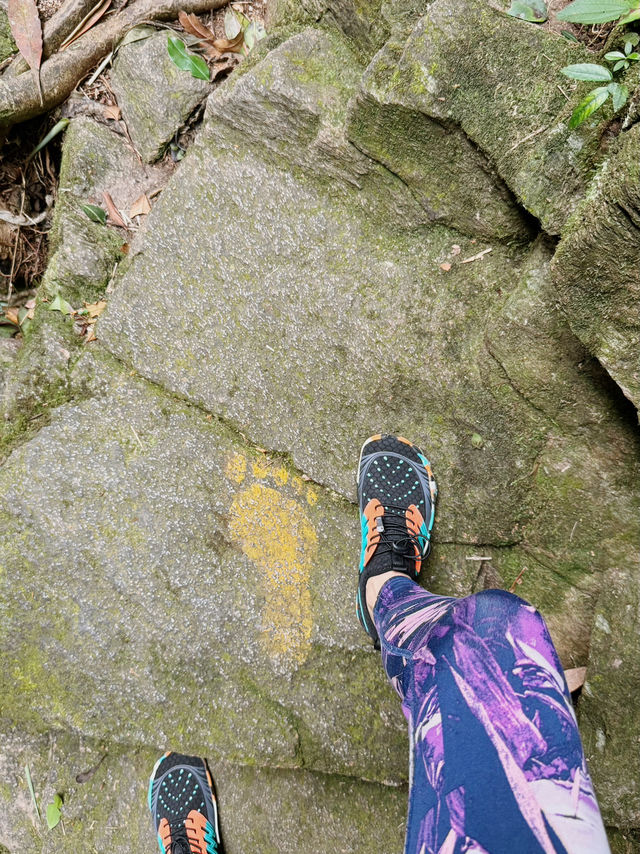 Hiking in Bạch Mã — Waterfalls, Jungle & Quiet Moments ⛰️🌧️