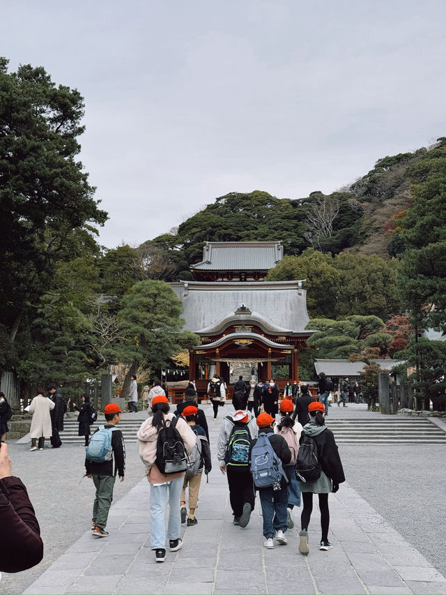 Tsurugaoka Hachimangu ⛩️