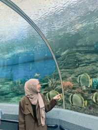 Underwater  world pattaya