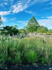 From Fire to Farm: Black Lava Trails of Mount Batur