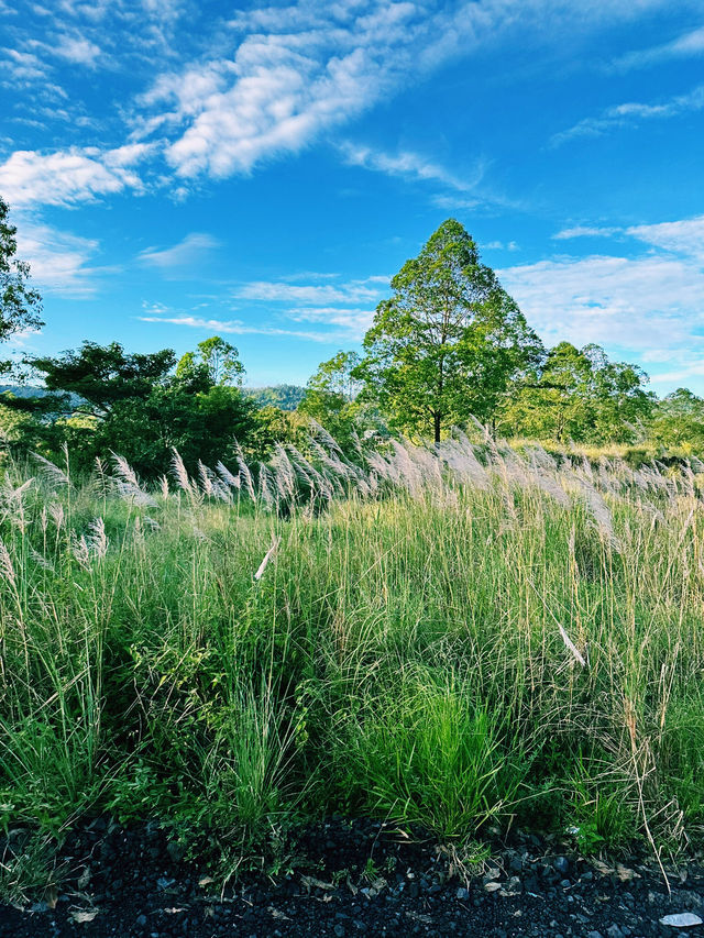 From Fire to Farm: Black Lava Trails of Mount Batur