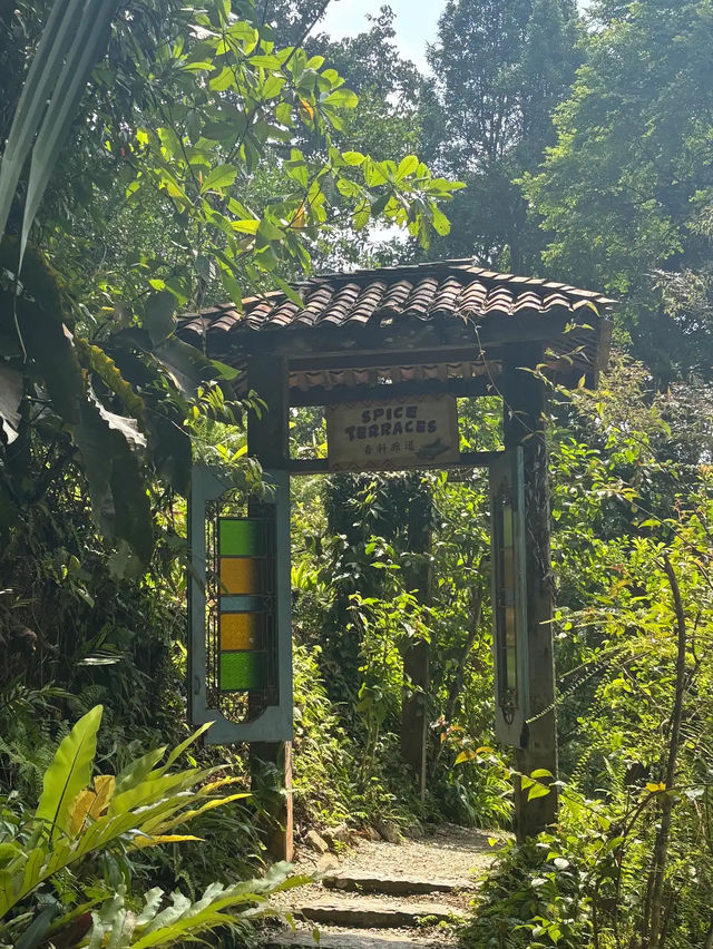 Spice Trails: A Journey Through Penang’s Botanical Wonderland