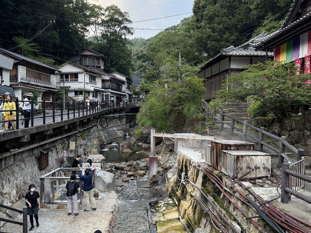 Five Days on Kumano Kodo: Mountains Underfoot, Clouds in My Heart ⛰️☁️