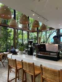 MiVana Organic Forest Coffee: A coffee shop which invites relaxation ☕️ 🌱 🍰 