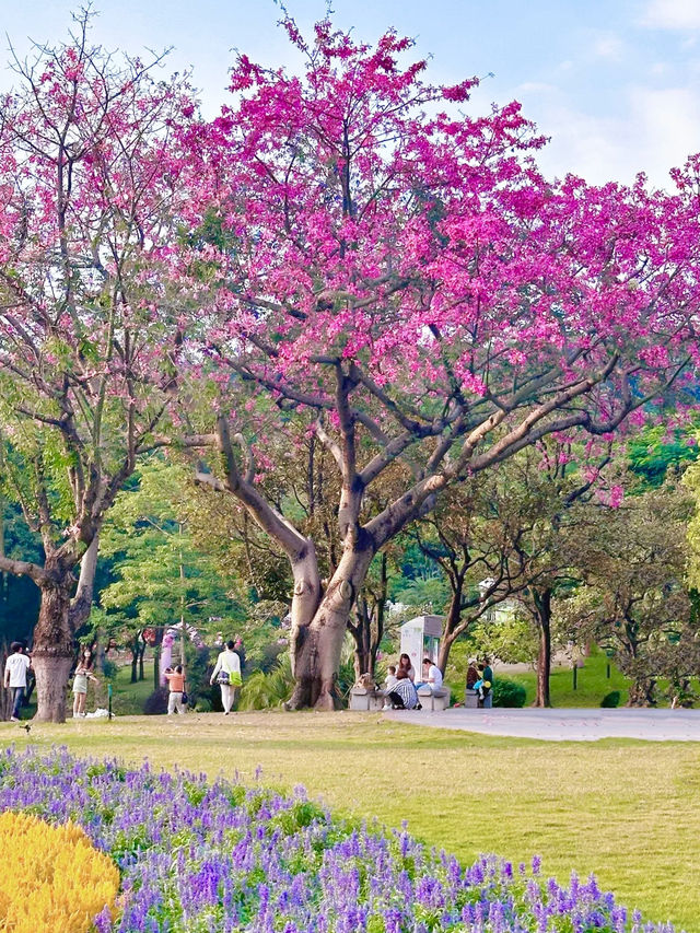🏛️ โลกเทพนิยายกรีกไม่ได้อยู่แค่ที่โรม!