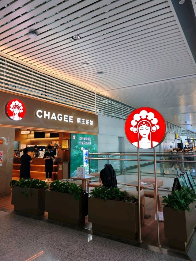 Getting my Chagee craving fix on a highspeed train 
