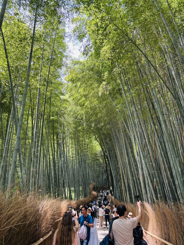 京都快閃4日遊