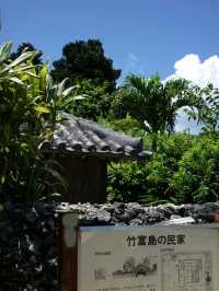 竹富島～夏の思い出～