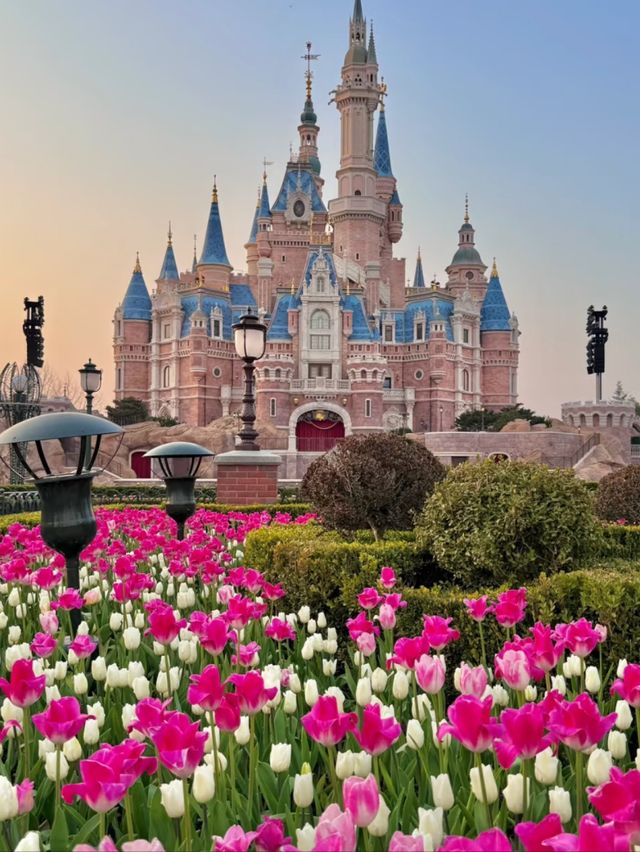 Cinderella to Mulan: Meet the Royals of Shanghai Disneyland