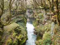 Floating Through a Dream at Martvili Canyon