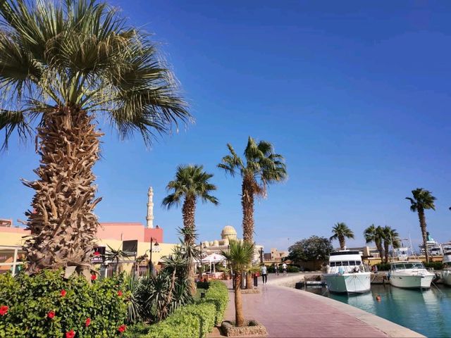 Sunset Strolls & Chill Vibes at Hurghada Marina