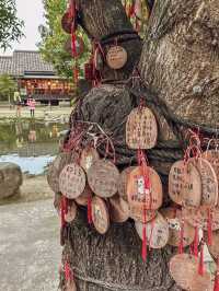 Timeless Japanese architecture