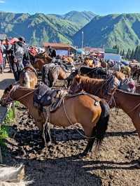 My First Horseback Riding Adventure on the Grassland