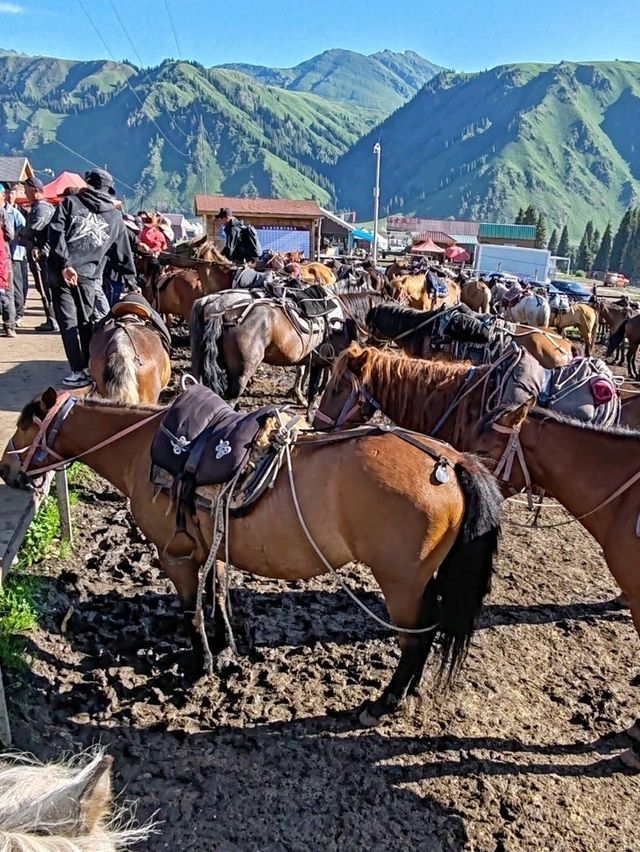 My First Horseback Riding Adventure on the Grassland