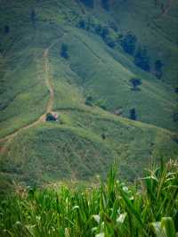 ถนนลอยฟ้า ภูหลวง จ.เลย