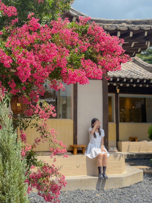 (실시간) 바야흐로 프롬상록의 계절🐈💕🫧