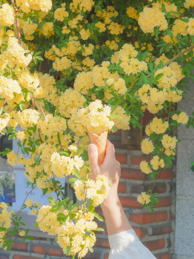 피드로도 기록해보는 창원의 노란빛 순간들💛