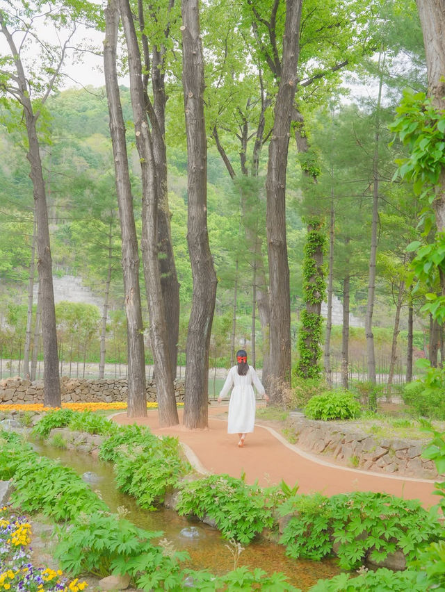 사랑 가득한 여행 하기 좋은 힐링 도시 화천🌿