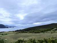 Bruny Island – เกาะเล็กๆ ที่เต็มไปด้วยความทรงจำ