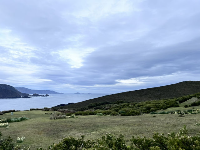 Bruny Island – เกาะเล็กๆ ที่เต็มไปด้วยความทรงจำ