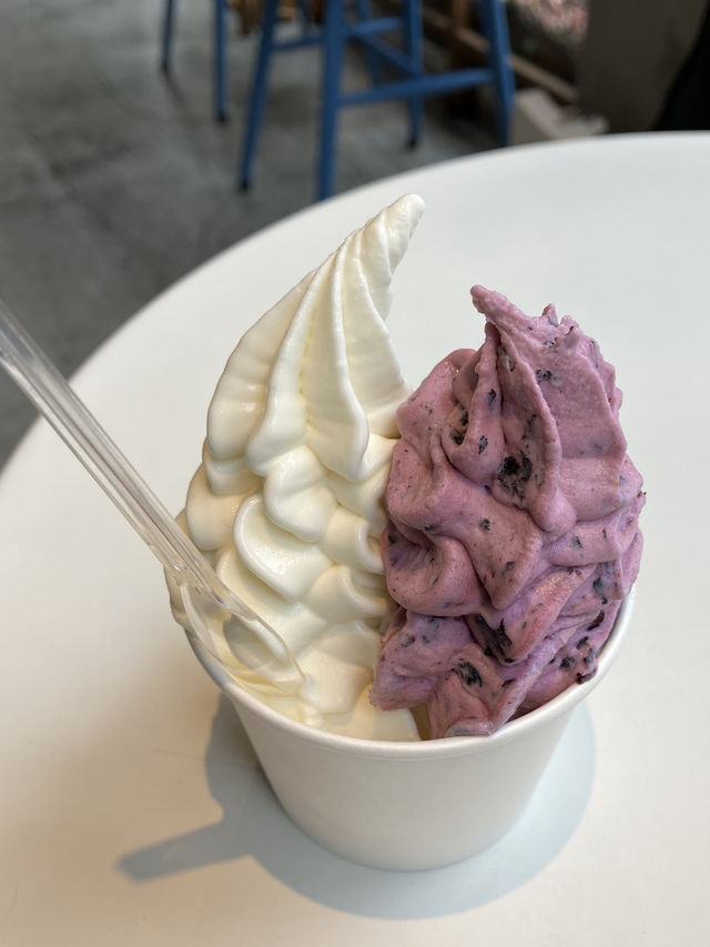 【東京/吉祥寺🇯🇵】フローズンヨーグルト専門店🥛ウッドベリーズ