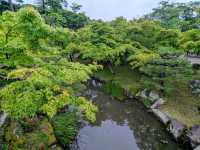 彥根 | 玄宮園，引琵琶湖水而成的日式庭園