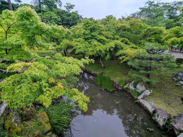 彥根 | 玄宮園，引琵琶湖水而成的日式庭園