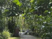 A Peaceful Escape at Perdana Botanical Park