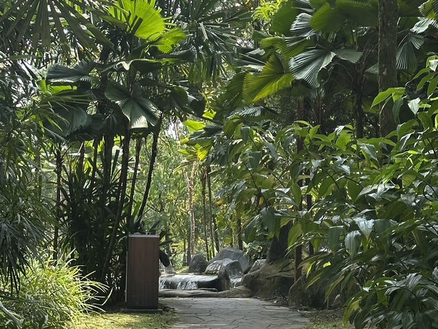 A Peaceful Escape at Perdana Botanical Park
