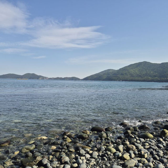 🌊 바다와 자연의 조화, 거제도 2박 3일 여행코스