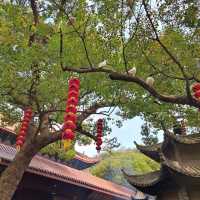 🌅 West Lake (西湖): A Grand Stage of Nature and Culture