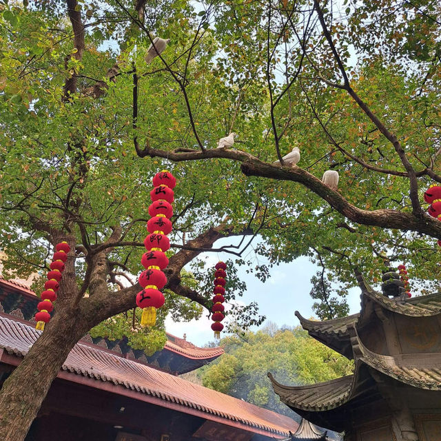 🌅 West Lake (西湖): A Grand Stage of Nature and Culture
