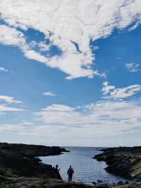 The Wonderful Jogashima Park in Yokosuka