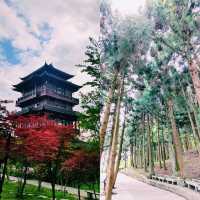 Into the Real-Life Avatar Mountains: A Zhangjiajie Adventure