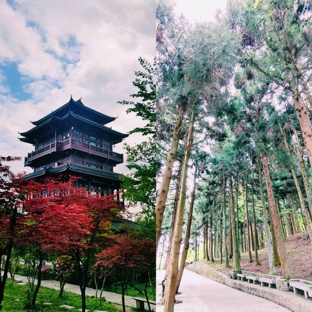 Into the Real-Life Avatar Mountains: A Zhangjiajie Adventure