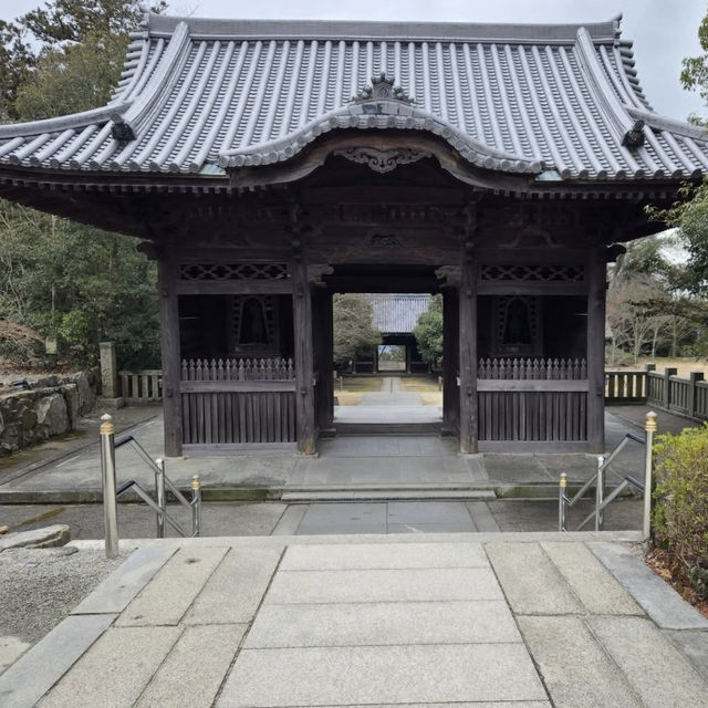 【香川旅】歴史と絶景が交差する屋島寺で、心に残る静かな時間を 【香川旅】歴史と絶景が交差する屋島寺で、心に残る静かな時間を