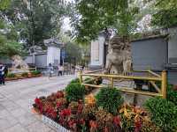 A Journey Through the Splendor of the Old Summer Palace