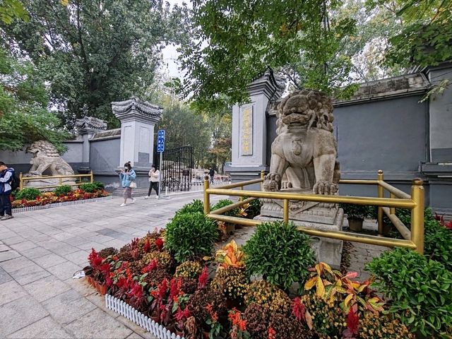 A Journey Through the Splendor of the Old Summer Palace