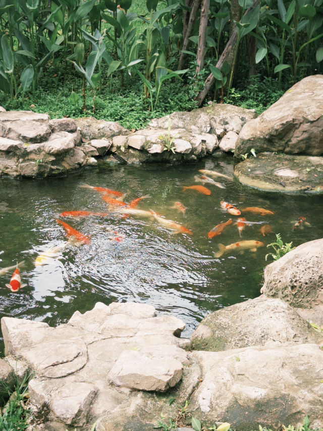 Andaz จอมเทียน — โอเอซิสใหม่กลางธรรมชาติ 🌿 Andaz จอมเทียน — โอเอซิสใหม่กลางธรรมชาติ 🌿