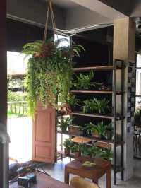 กุหลาบคาเฟ่ พิจิตร