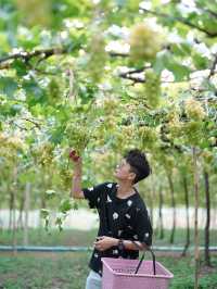 ไร่องุ่นมีสุข (Meesuk Farm Fest)