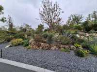 Shanghai Botanical Garden