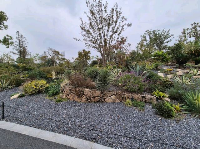 Shanghai Botanical Garden