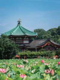 🇯🇵 Tokyo must visit: Ueno Park 🪷✨