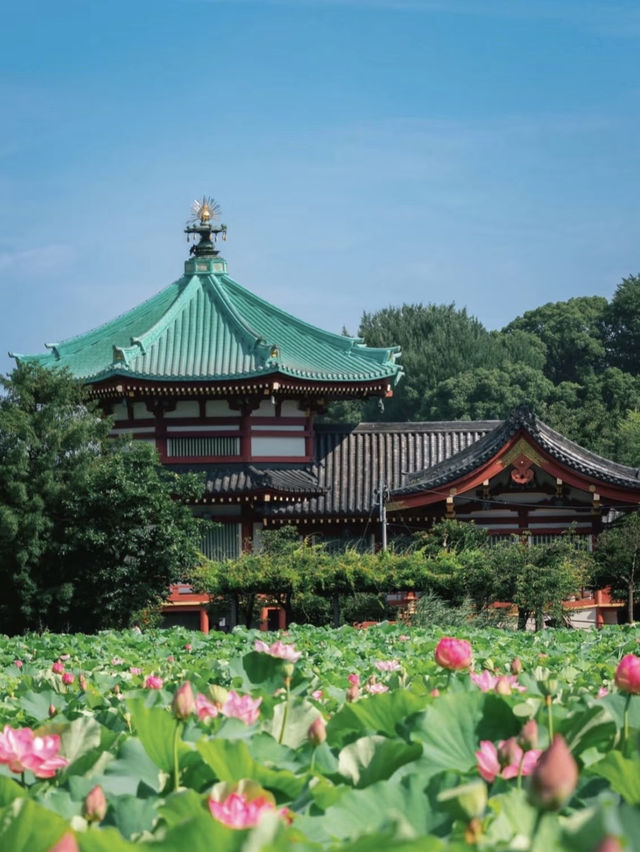 🇯🇵 Tokyo must visit: Ueno Park 🪷✨