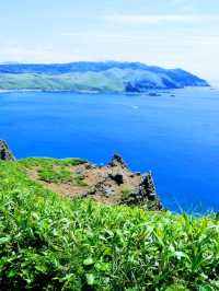 夏の礼文島で花と海と緑の絶景トレッキング