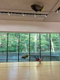 🎨【箱根】自然とアートが調和する「ポーラ美術館」🖼️✨